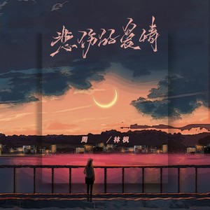 悲伤的爱情歌词 - 周林枫