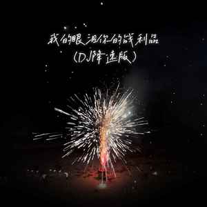 我的眼泪你的战利品 (DJ版)歌词 - 于冬然