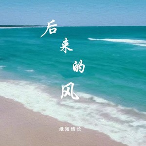 后来的风 (DJ德朋版)歌词 - 陆三三