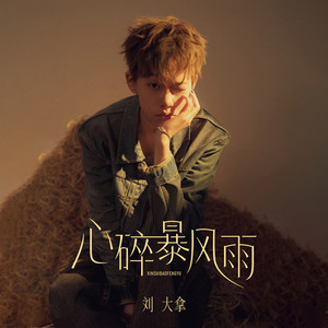 心碎暴风雨歌词 - 刘大拿