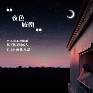 夜色城南歌词 - DJ小鱼儿