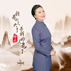 我养的人大了养我的人老了歌词 - 梅朵