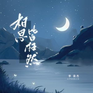 相思皆枉然歌词 - 李袁杰