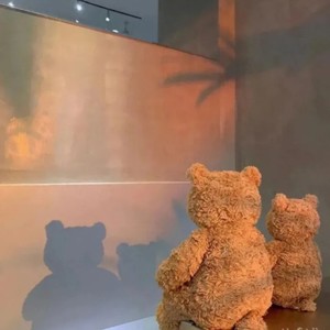 南半球与北海道 (温柔女生版)歌词 - 西罕