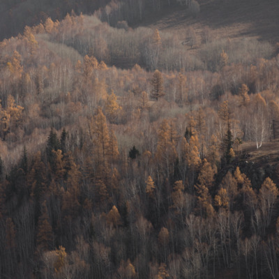 一程不顺时时常有歌词 - 文兆杰