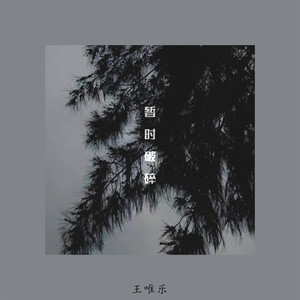 暂时破碎歌词 - 小乐哥(王唯乐)