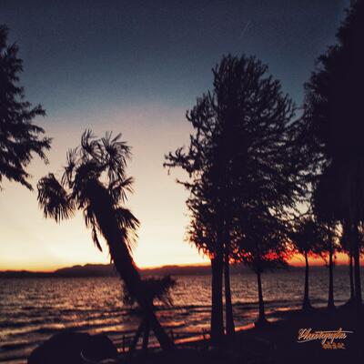 限定涂鸦 (Acoustic Ver.)歌词 - 摄音记 / 张天奕ZTYick / 杨世贸 / Vicky宣宣