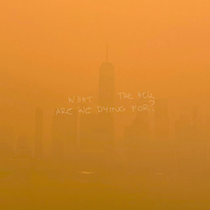 WHAT THE HELL ARE WE DYING FOR ?歌词 - Shawn Mendes