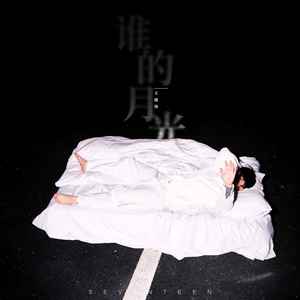 谁的月光歌词 - 王琪玮