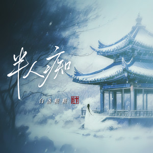 半人痴(DJ 细霖版)歌词 - 风华音纪/白盏糖糖