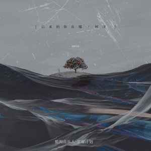 后来的你在哪(DJ 沈念版)歌词 - 树泽