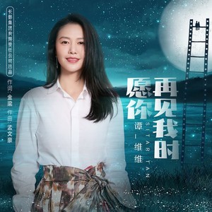 愿你再见我时歌词 - 谭维维