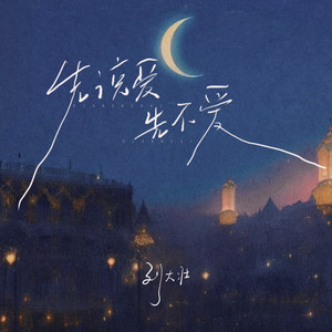 先说爱先不爱歌词 - 刘大壮