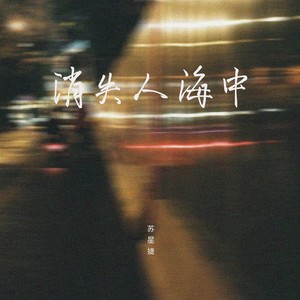 消失人海中歌词 - 苏星婕