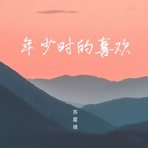 年少时的喜欢歌词 - 苏星婕