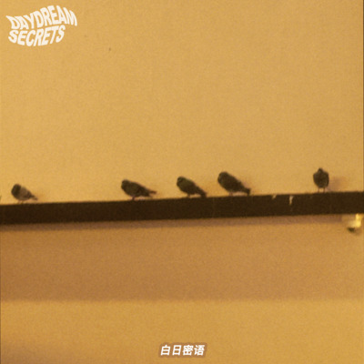 晚风替我去爱你歌词 - 白日密语