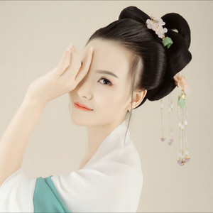 眉间雪歌词 - 晴愔