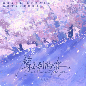 等不到的你歌词 - 一只白羊