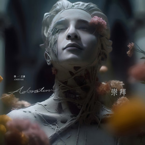 我崇拜你回眸一笑就刀山火海是什么歌?