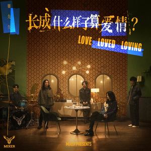 长成什么样子算爱情歌词 - 麋先生