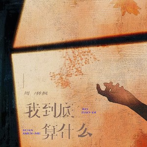 我到底算什么歌词 - 周林枫