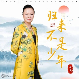 归来不是少年歌词 - 梅朵