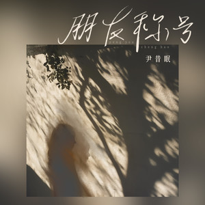 朋友称号歌词 - 尹昔眠