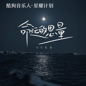 命运的思量歌词 - GS大头