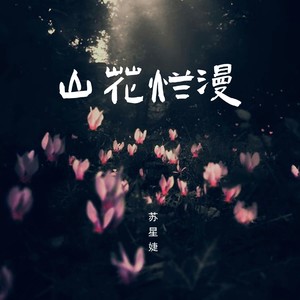 山花烂漫歌词 - 苏星婕