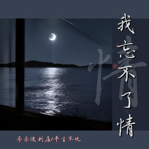 我忘不了情歌词 - 耳朵便利店/平生不晚
