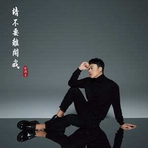 请不要离开我歌词 - 金润吉