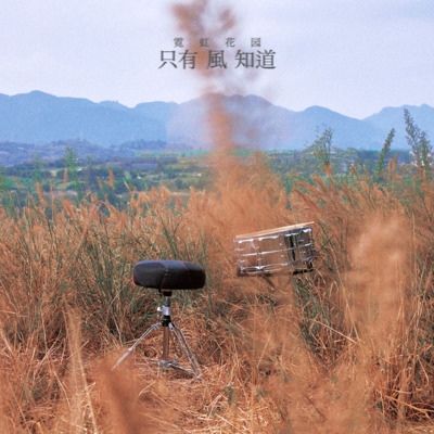 只有风知道歌词 - 霓虹花园