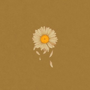 沉默的摇篮歌词 - 柳爽