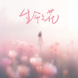 生命之花歌词 - 云汐
