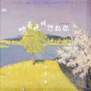 吹着晚风想起你歌词 - 苏星婕