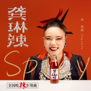 龚琳辣歌词 - 龚琳娜