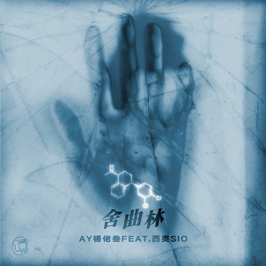 舍曲林歌词 - AY楊佬叁/西奥Sio