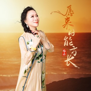 愿来日能方长歌词 - 梅朵