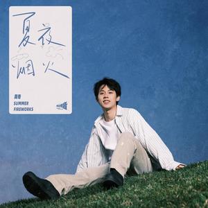 夏夜烟火歌词 - 周奇