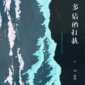 多情的打扰歌词 - 周林枫