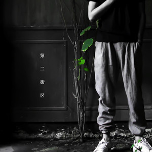 风吹丹顶鹤歌词 - 葛东琪