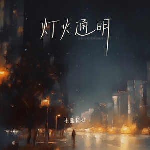 灯火通明歌词 - 小蓝背心