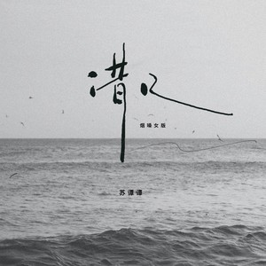 借口(烟嗓版)歌词 - 苏谭谭