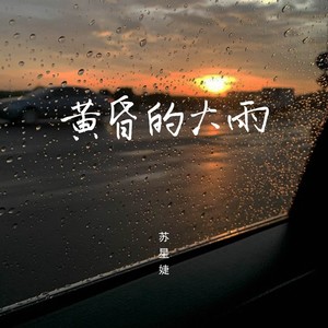 黄昏的大雨歌词 - 苏星婕