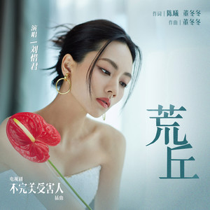 荒丘 (《不完美受害人》电视剧插曲)歌词 - 刘惜君