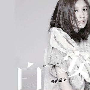 是什么让我遇见这样的你歌词 - 白安