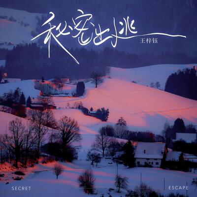 秘密出逃歌词 - 王梓钰