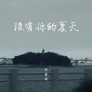 没有你的夏天歌词 - 苏星婕