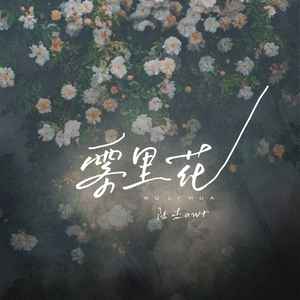 雾里花歌词 - 陆杰awr