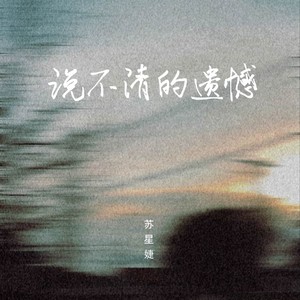 说不清的遗憾歌词 - 苏星婕